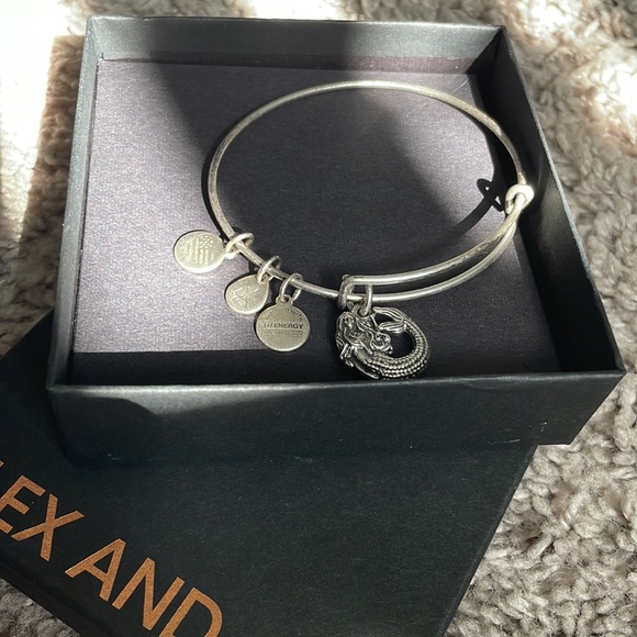 Alex and Ani Charm Bracelet - Picture 3 of 3